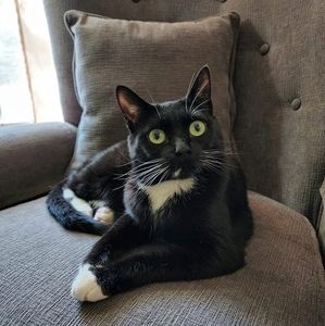 Meet your Posher, Barbara